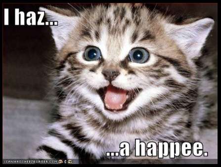 I haz a happee